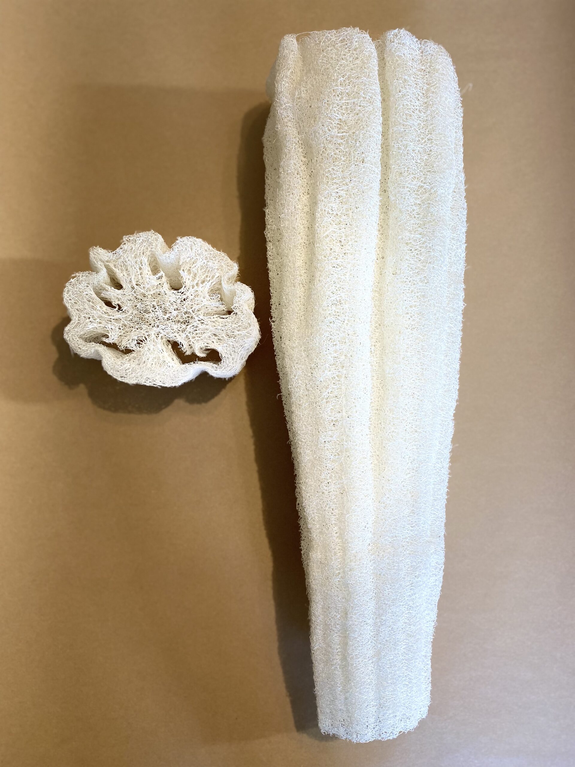Luffa